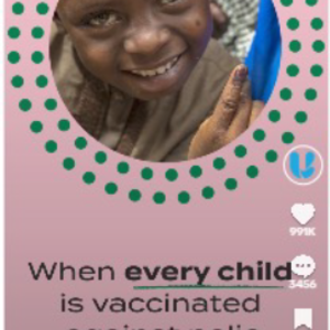 tik_tok_asset_for_nigeria digitla campaign