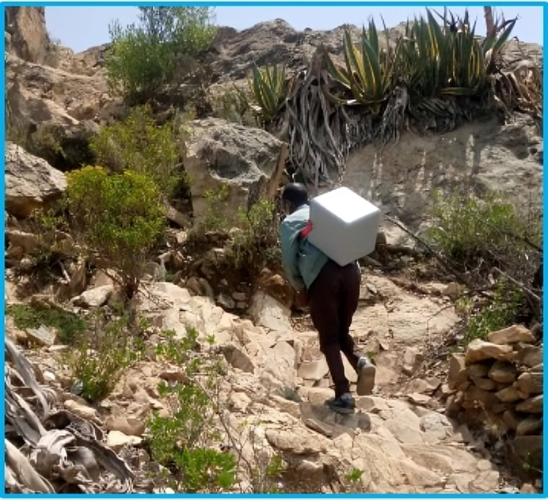 A health worker climbs hills to deliver vaccines, Irob woreda.